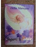 Ingerii te iubesc Carti oracol de Delia Muresan IN CASETA