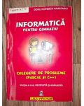 Informatica pentru gimnaziu- Doru Popescu Anastasiu
