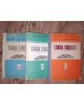 Limba engleza 1, 2, 3-4 - Anca Ionici, Georgiana Galateanu-Farnoaga