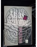 Winterthur: Atlas de anatomie- Karl-Josef Moll, Michaela Moll