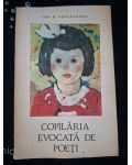 Copilaria evocata de poeti- Ioan N. Voiculescu