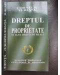 Dreptul de proprietate si alte drepturi reale