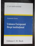 Uniunea Europeana. Drept institutional