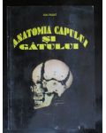 Anatomia capului si gatului Ion Pasat