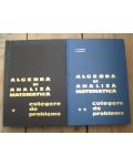 Algebra si analiza matematica  vol I+II