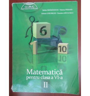Matematica pentru clasa a VI-a vol.2