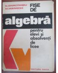 Fise de algebra pentru elevi si absolventi de licee
