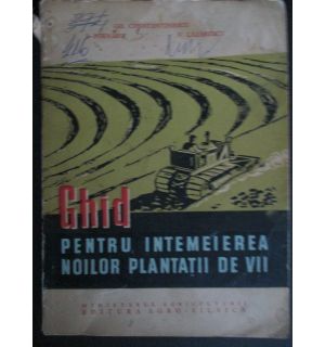 Ghid pentru intemeierea noior plantatii de vii