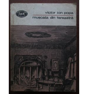 Muscata din fereastra