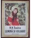 Lumina si culoare N. N. Tonitza