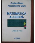 Matematica. Algebra (clasa a VII-a)