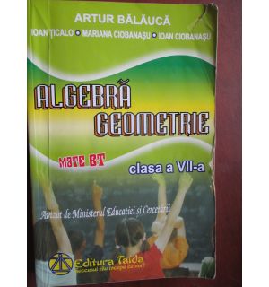 Algebra si geometrie clasa a VII-a