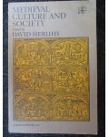 Medieval culture and society