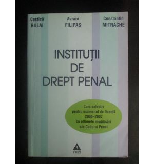 Institutii de drept penal
