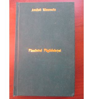 Pamantul Fagaduintei