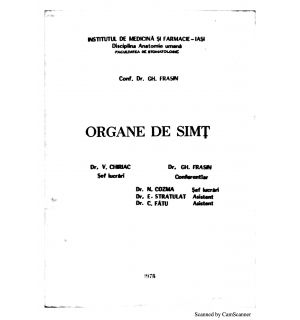 Organe de simt