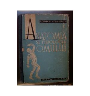 Anatomia si fiziologia omului