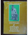 Morfologia si patologia tesutului conjunctiv
